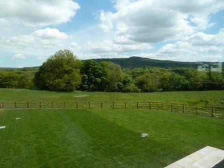 GARDEN & FIELDS