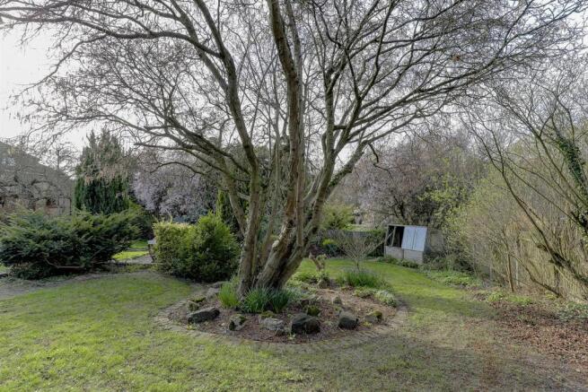 Garden 4.jpg