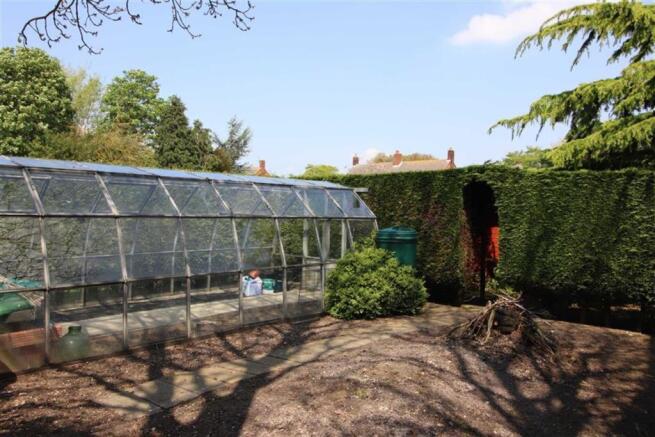 Vegetable Plot (Pic)
