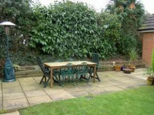 Garden2