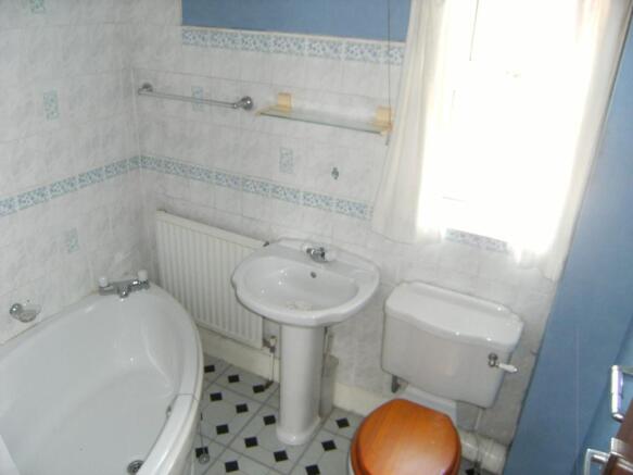 Image 11