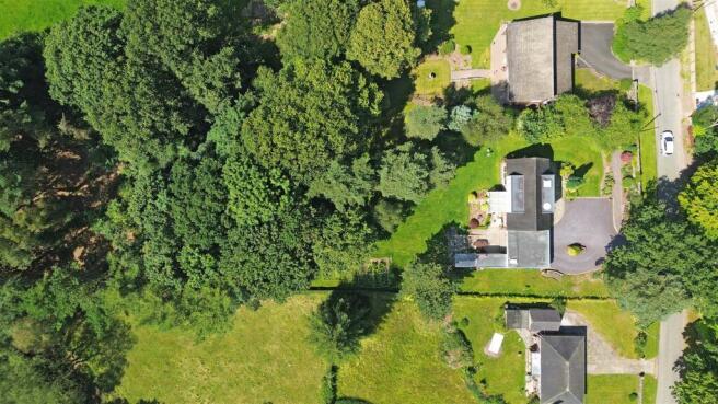DJI_0093.JPG