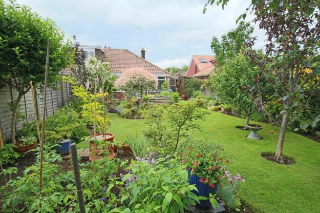 Rear of Property
