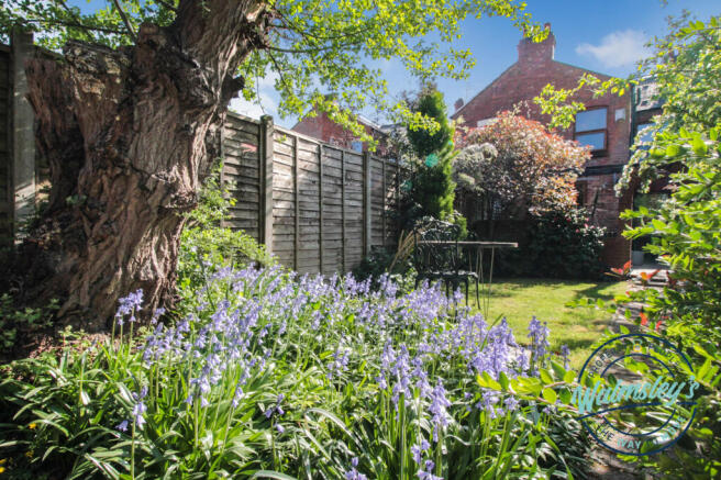 Sunny rear gardens