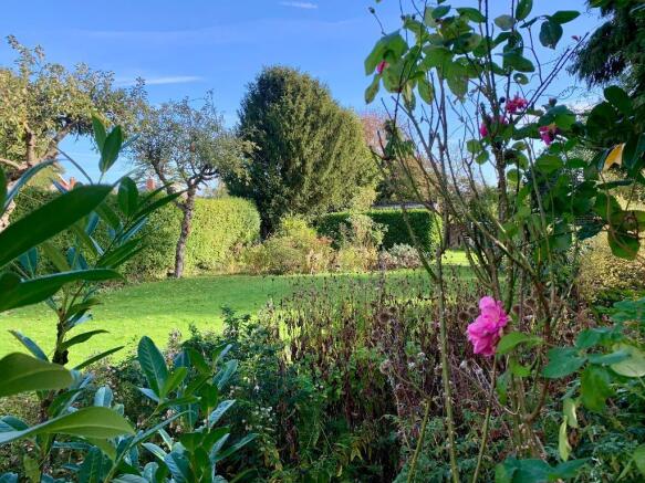 Mature garden