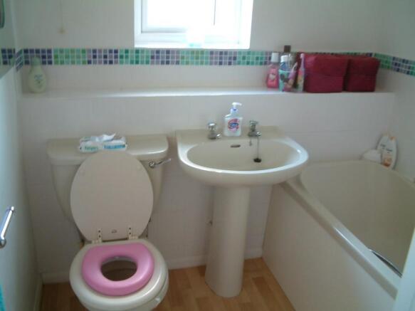 Photo 7