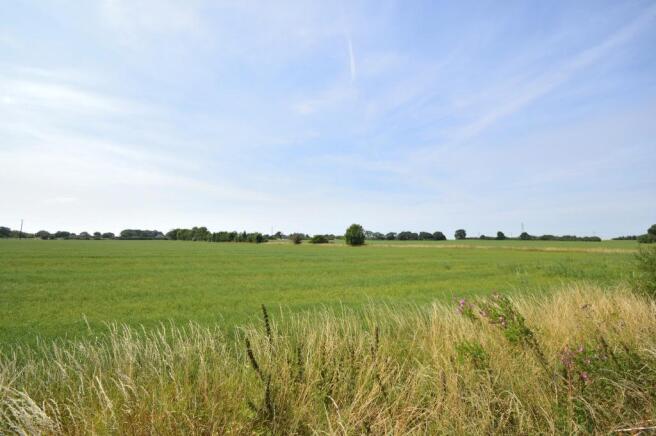Fields Opposite