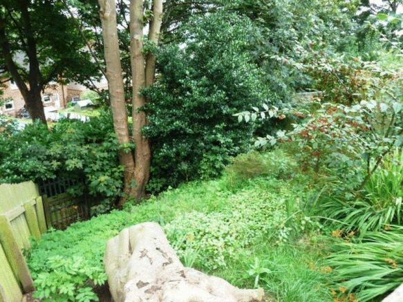 Woodland Area