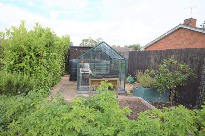 Vegetable Garden
