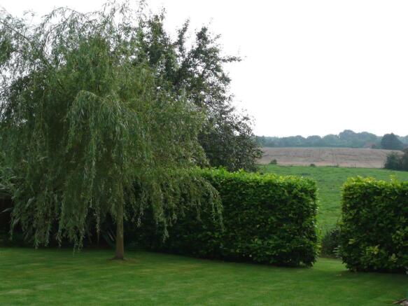 VIEW FROM