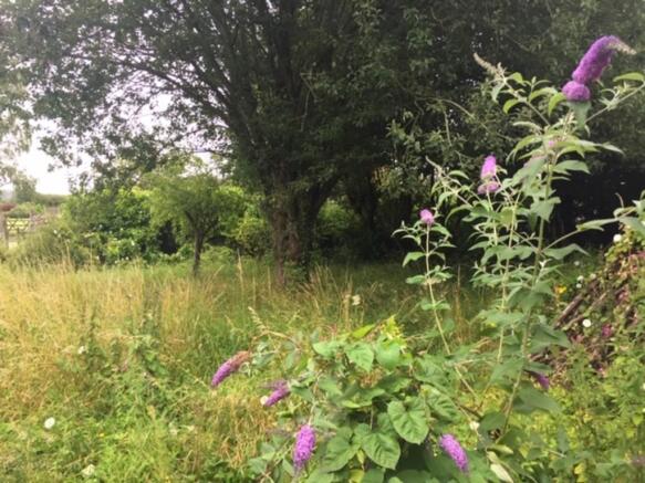Wildlife garden