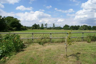Paddock With Views