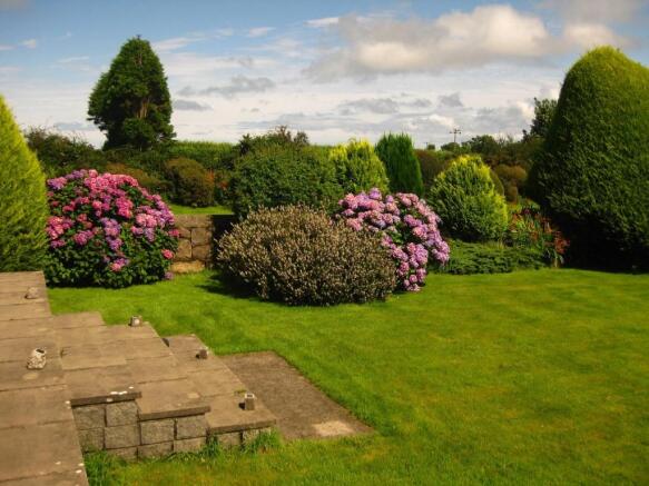 Conifers & shrubbery