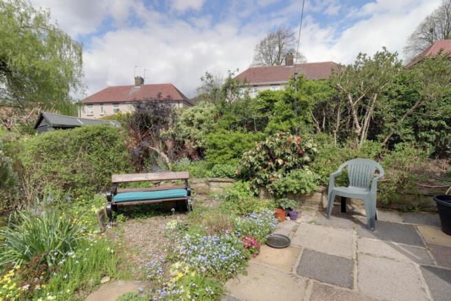 Back garden 4