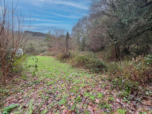 IMG 3150 T202602191404.jpg