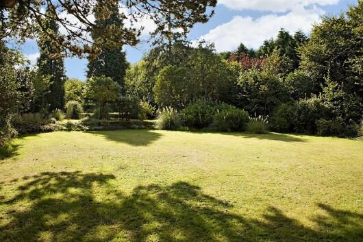 Rear Gardens