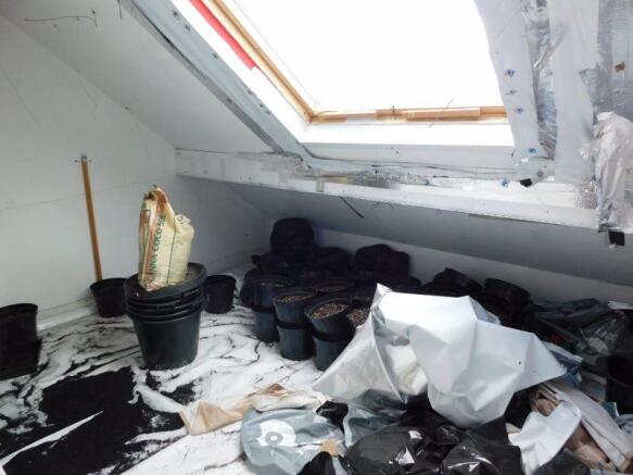 Attic Bed Three