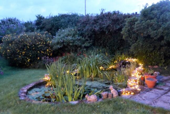 Pond at dusk