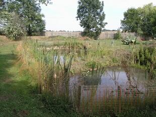 Wildlife Ponds