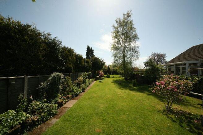 garden plot