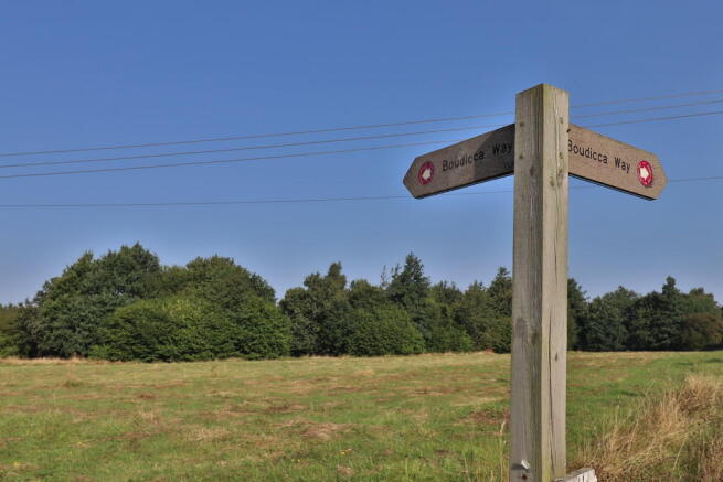 The Common