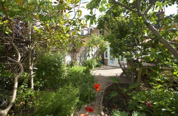 Photo 6