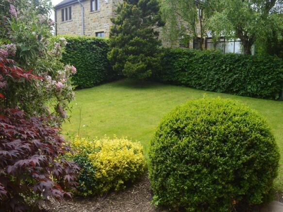 Image 15