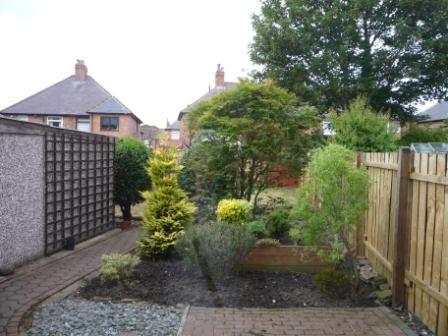 Garden 1