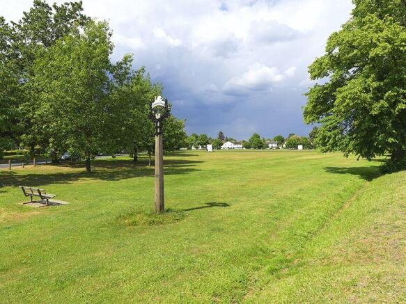Giggs green