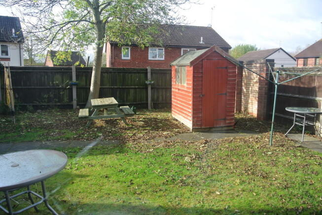Photo 7