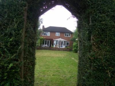 Photo 11