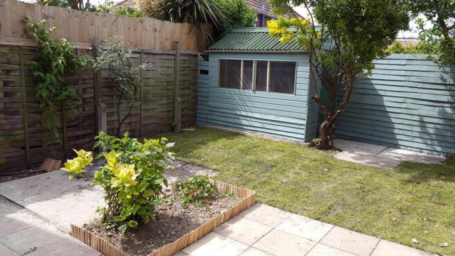 Photo 11