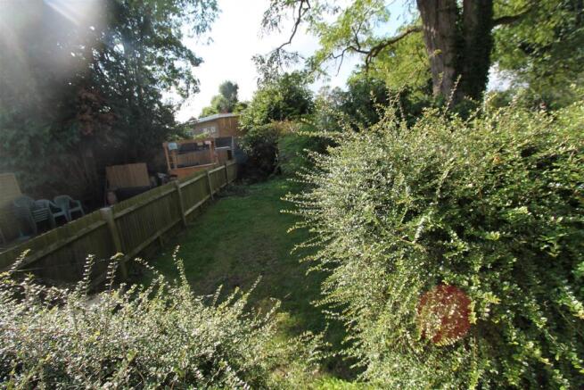 Garden.JPG