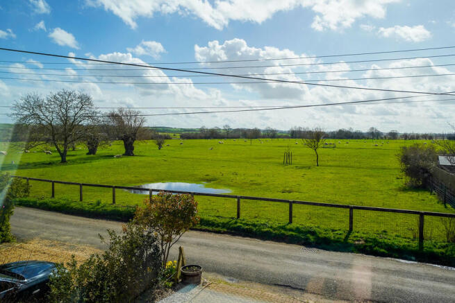 Field View