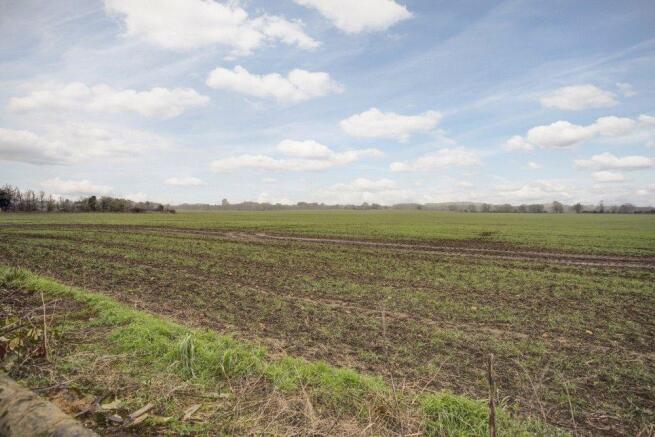 Picture No. 14