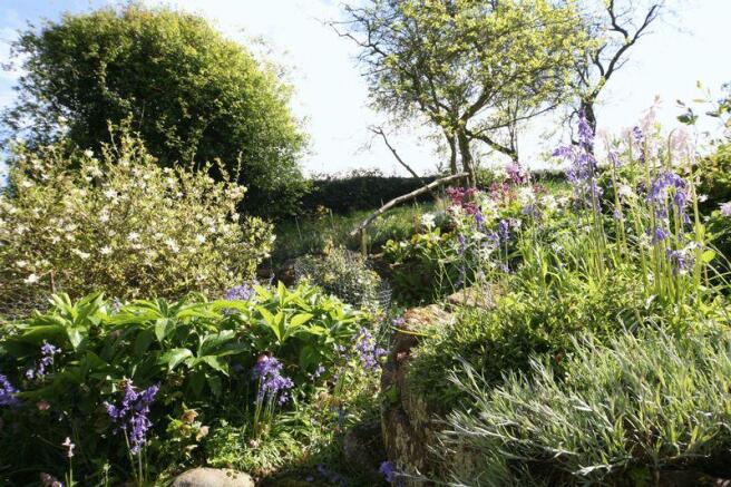 garden detail