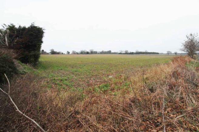 Field View