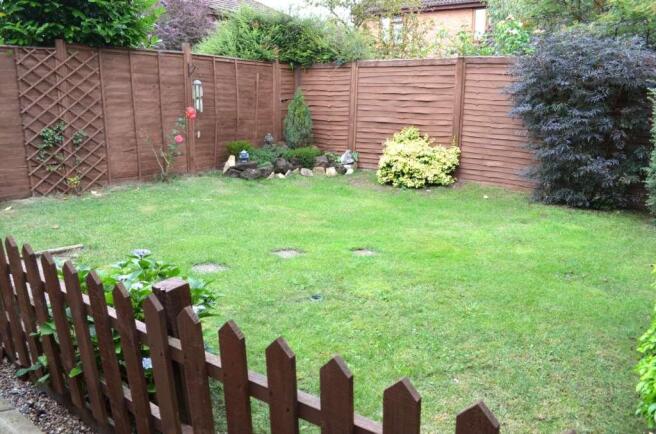 Photo 11