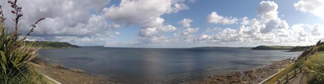 Panoramic