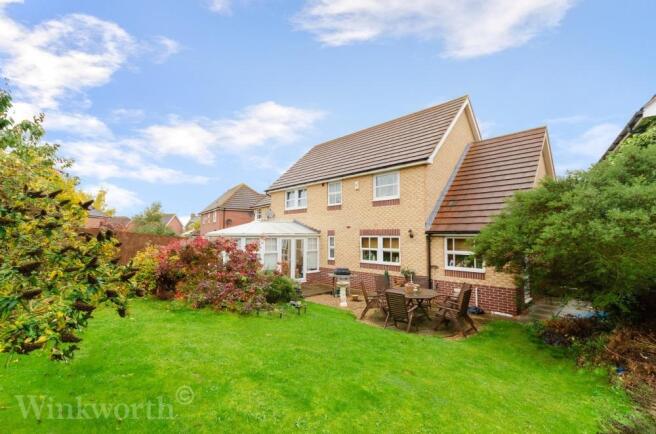 Picture No.11
