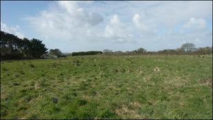 4.5 Acre Field