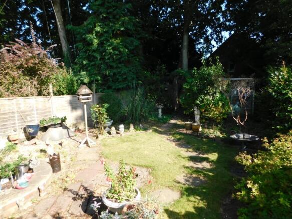 Photo 13