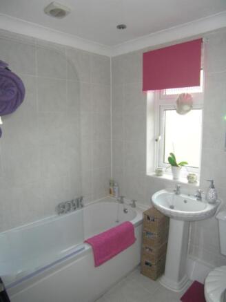 Picture No.02