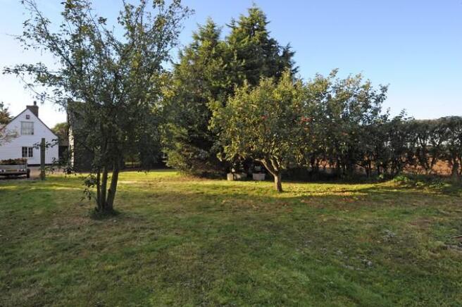 garden 1.jpg