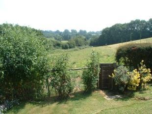 Garden 2