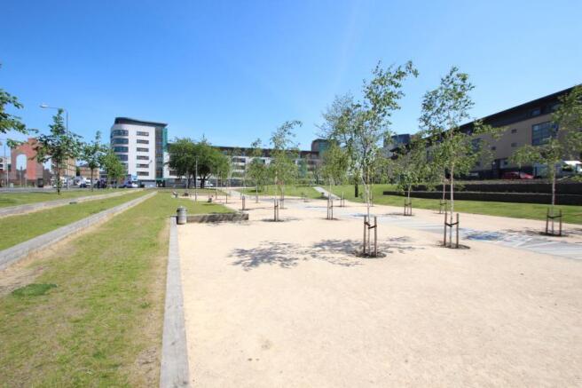 Park
