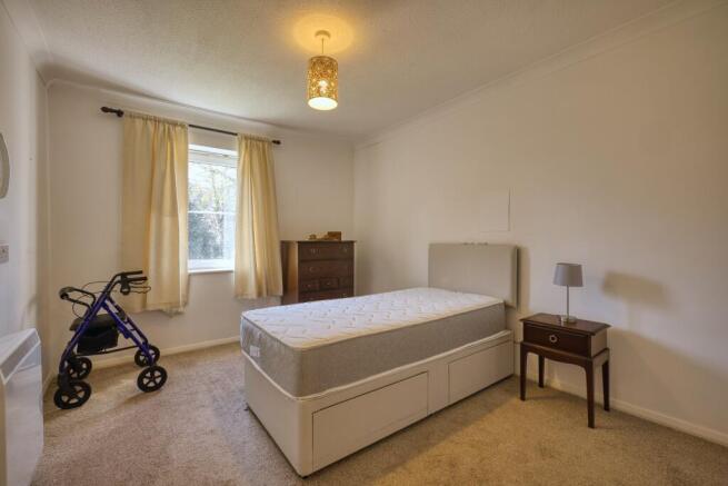 Picture 6
