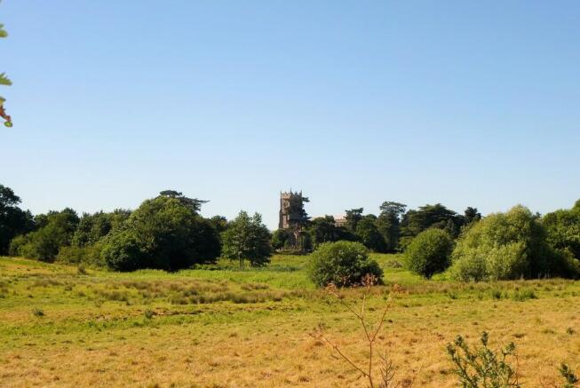 View from rear garden