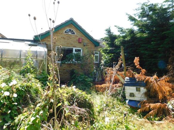 Garden 2