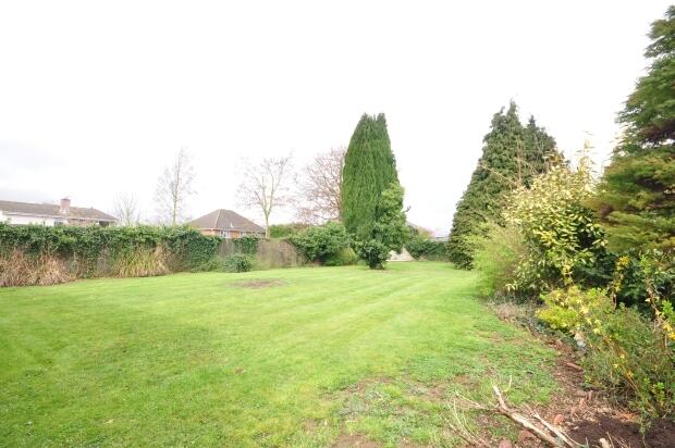 Garden 2
